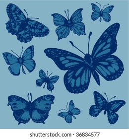 Blue butterflies
