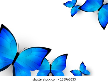 Blue butterflies background for Your design