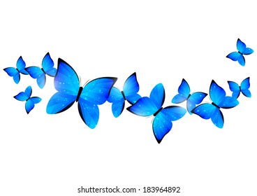 Blue butterflies border for Your design