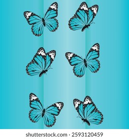 Blue butterflies flying on a blue background.Close-up, isolated