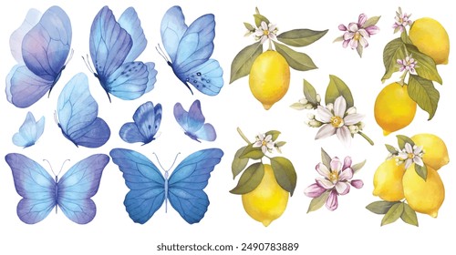 Blue butterflies, lemons with flowers, leaves. Watercolor illustration. Blue Butterflies clipart set. Baby shower design elements. Party invitation, birthday celebration. Spring or summer decoration