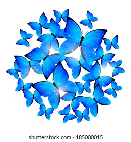 Blue butterflies for Your design