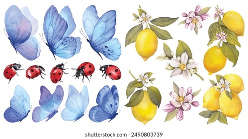 Blue butterflies,lemons,flowers,ladybugs. Watercolor illustration. Blue Butterflies clipart set. Baby shower design elements. Party invitation, birthday celebration. Spring or summer decoration