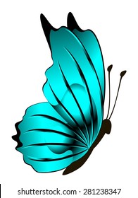 blue butterfly