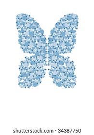 Blue Butterfly