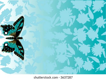 blue butterfly