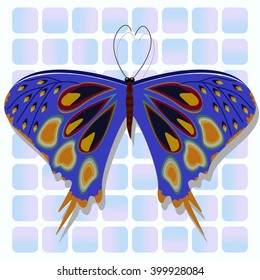 Blue butterfly