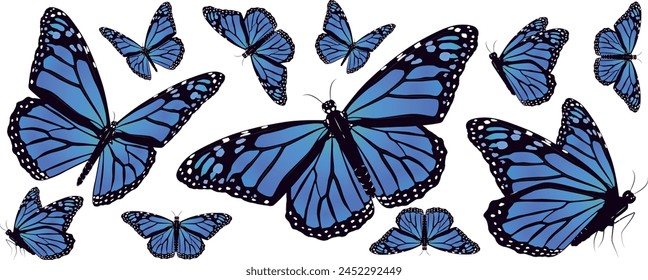 A blue butterfly with black spots on it with a white background