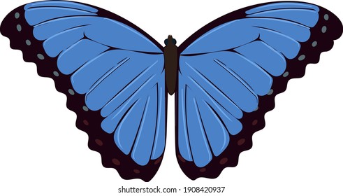 Blue butterfly close up. Vector tropical butterfly. Isolated object.