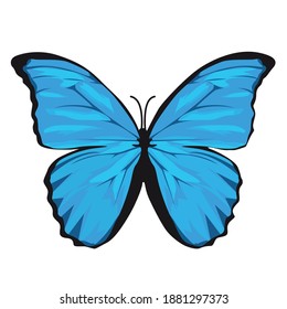 Blue butterfly, Cute butterfly vector icons