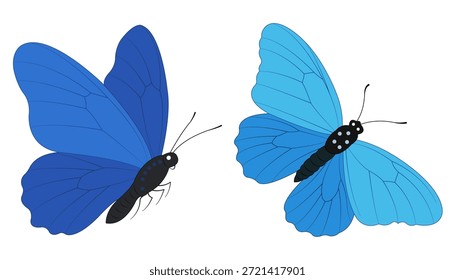 Conjunto de Vector de diseño de mariposa azul.
