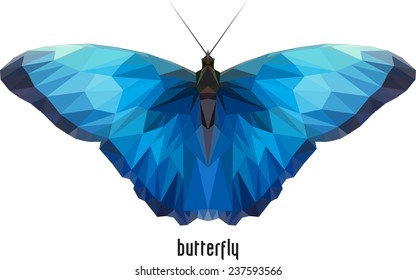blue butterfly of edges and triangles