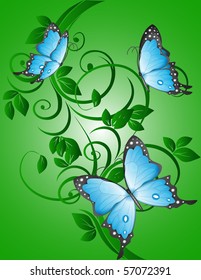  	Blue butterfly. eps10
