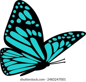 Blue Butterfly Flies on White Background. Enchanting Apollon Parusnik Butterfly Wings. Rare Lepidoptera Garden Wildlife.