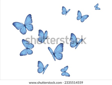 blue butterfly flock design vector