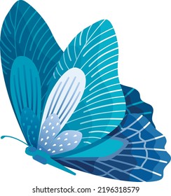 Blue butterfly flying. Beautiful patterned insect wings