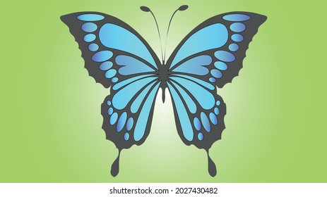 Blue Butterfly and green background vector art 