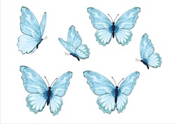 Blue Butterfly Hand Drawn Design Vector