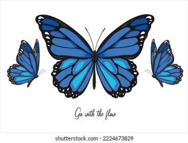 blue butterfly hand drawn design 