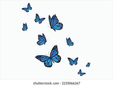 blue butterfly hand drawn design vector 