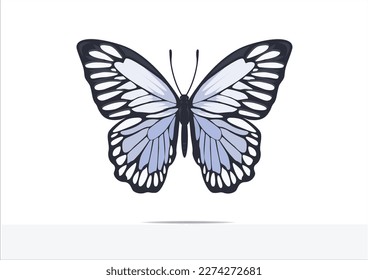 
blue butterfly hand drawn design vector