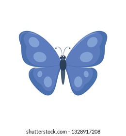 Blue butterfly icon