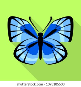 Blue butterfly icon. Flat illustration of blue butterfly vector icon for web design