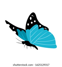 Blue butterfly icon in a flat style with a white background. Vector illustration.