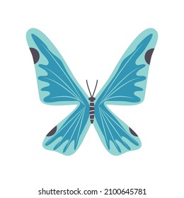 blue butterfly icon isolated flat
