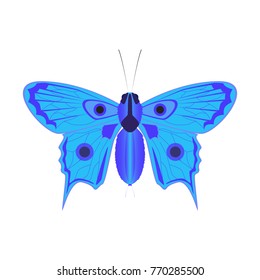 Blue butterfly icon. Isolated vector on a white background.
