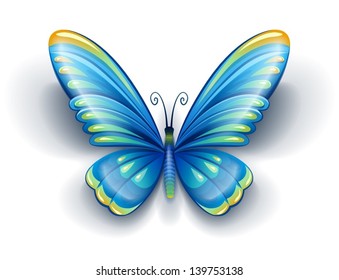 blue butterfly insect with color wings - EPS10 vector illustration isolated on white background