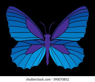 Blue butterfly isolated on black background. Vector illustration.