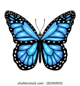 Blue butterfly isolated on a white background, illustration.