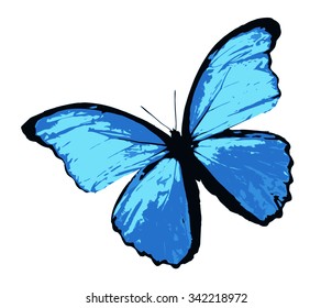 Blue butterfly, isolated on white background