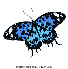 Blue butterfly, isolated on white background