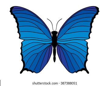 Blue butterfly isolated on white background. Vector illustration.