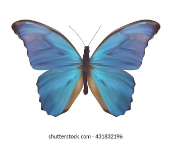 Blue Butterfly Isolated on White Realistic Vector Illustration EPS10