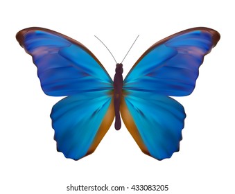 Blue Butterfly Isolated on White Realistic Vector Illustration EPS10