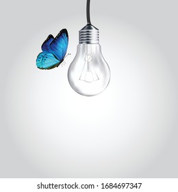 blue butterfly with light bulb on top in white gray background. Idea about saving energy