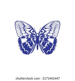 Blue butterfly logo vector template with background