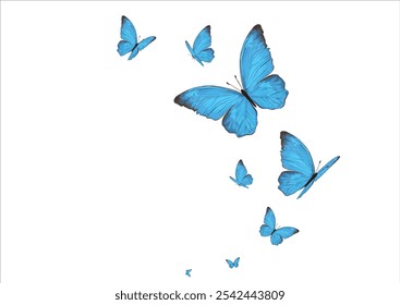 blue butterfly monarch watercolor vector design hand drawn