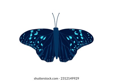 ilustración del ala de la mosca de la mariposa azul