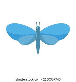 Blue butterfly moth on white background. vector illustration