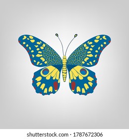 Mariposa azul sobre un fondo gris claro. 