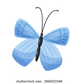 Mariposa azul sobre fondo blanco