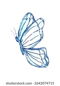 blue butterfly on white background	
