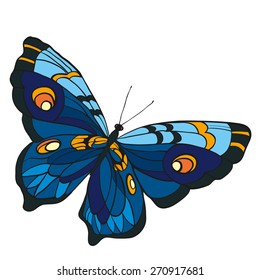 Blue butterfly with open wings in a top view on white background.
