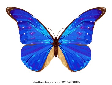 Blue butterfly. Tropical insect. Neon colors. Stock vector illustration isolated on white background.