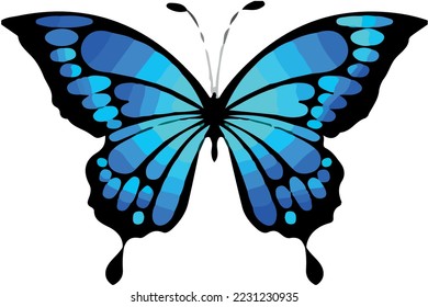 Blue butterfly vector cute beatıful