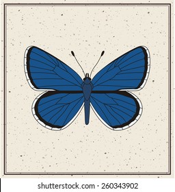 blue butterfly - vector illustration